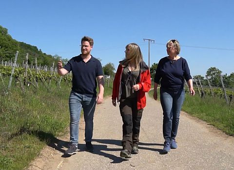 Virtuelle Lagenwanderung durch die Spitzenlagen von Forst, Deidesheim und Wachenheim