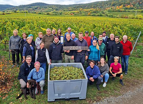 Team der Weinlese 2021 in Forst / Pfalz