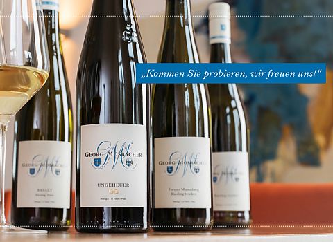 Weinprobiertage