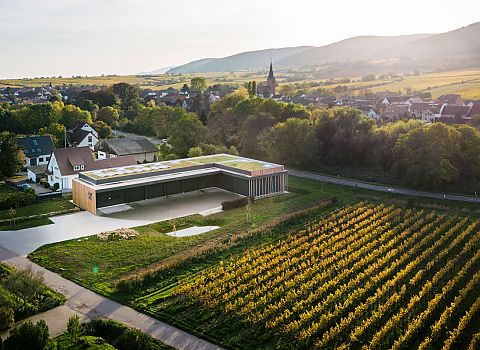 Hallenneubau Weingut Georg Mosbacher