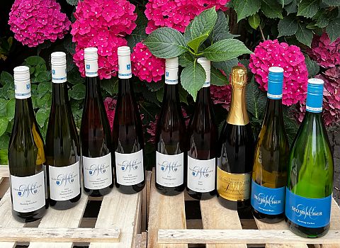 Sommer-Probierpaket