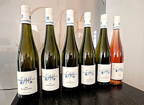 Jungweinprobe 2022 - Weinprobierpaket