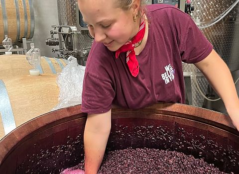 „handgrafted Pinot Noir“ by Alena Mosbacher