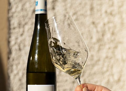 DP.PFALZ - Lagenpräsenation