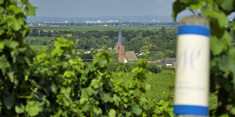 Weinlage Ungeheuer Forst/Pfalz